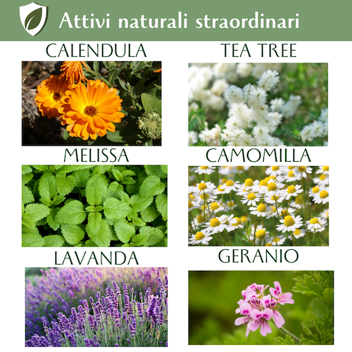 Balsamo Labbra Difesa Naturale
